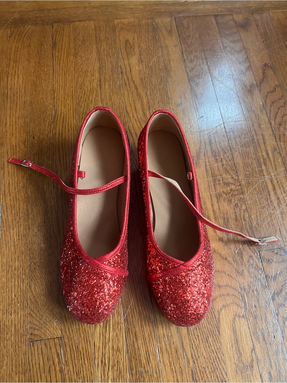 Size 41 Women's Glitter Mary Jane Dance Shoes – Low Block Heel